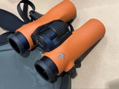 paire de jumelles SWAROVSKI NL PURE 10x32 orange